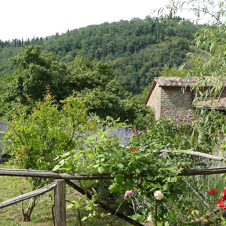 Вилла Il Capriolo San Cerbone Экстерьер фото