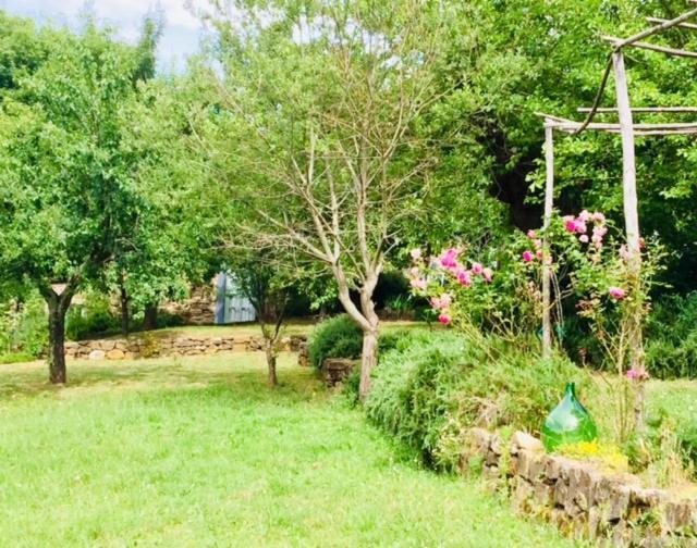 Вилла Il Capriolo San Cerbone Экстерьер фото